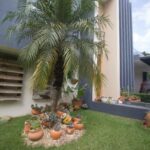 Horizonte de calma y elegancia natural